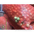 Wielkie rozmiarze orzechy makadamia w Shell Raw